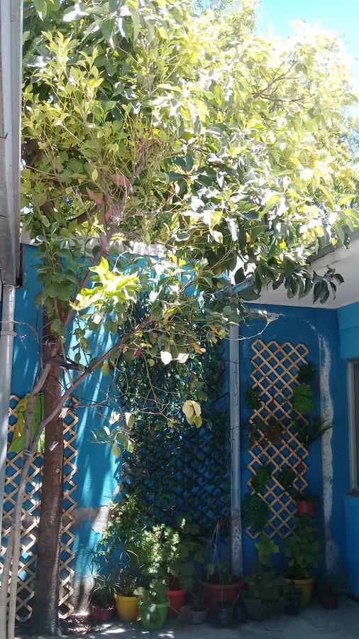 Hostal Casa Azul تالكا المظهر الخارجي الصورة